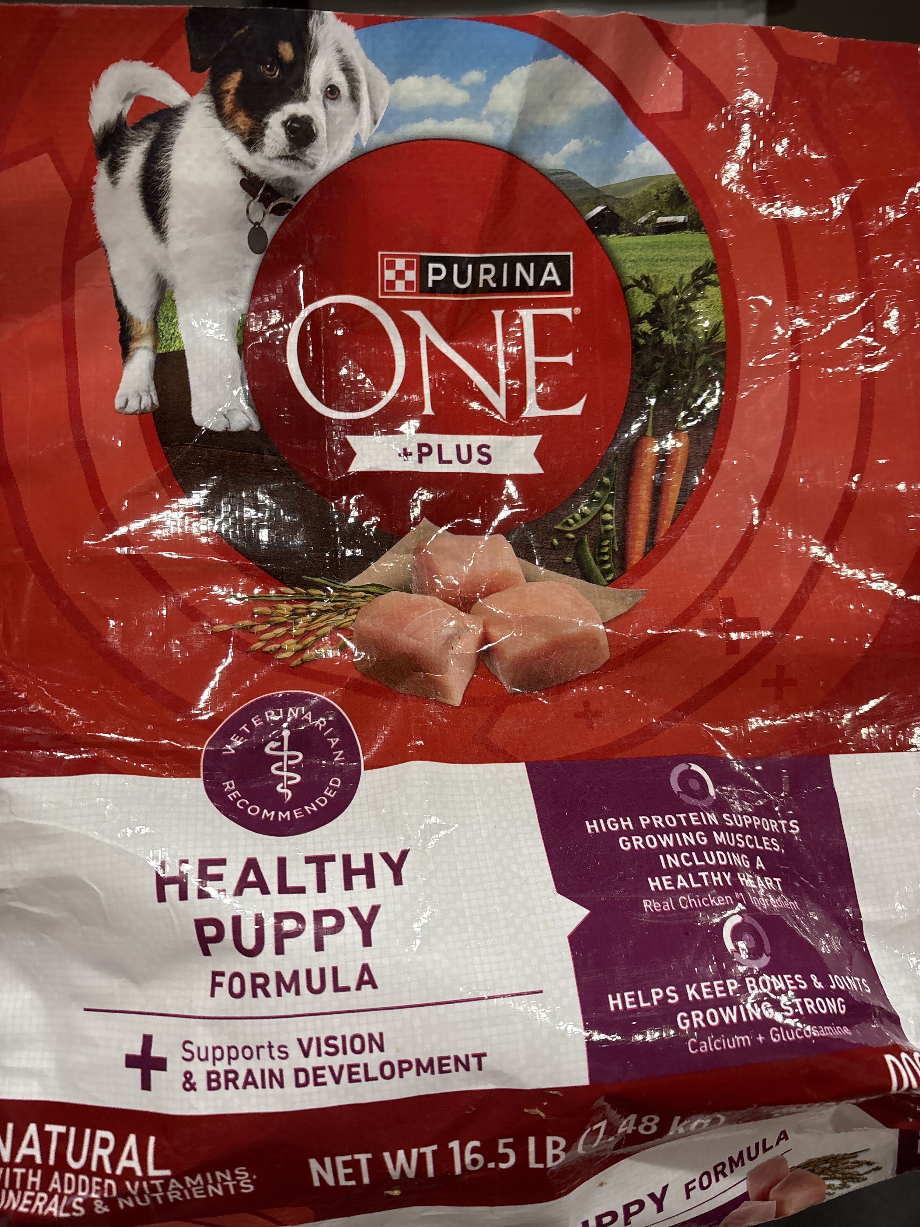 Purina ONE +Plus Healthy Puppy Formula, front of the package