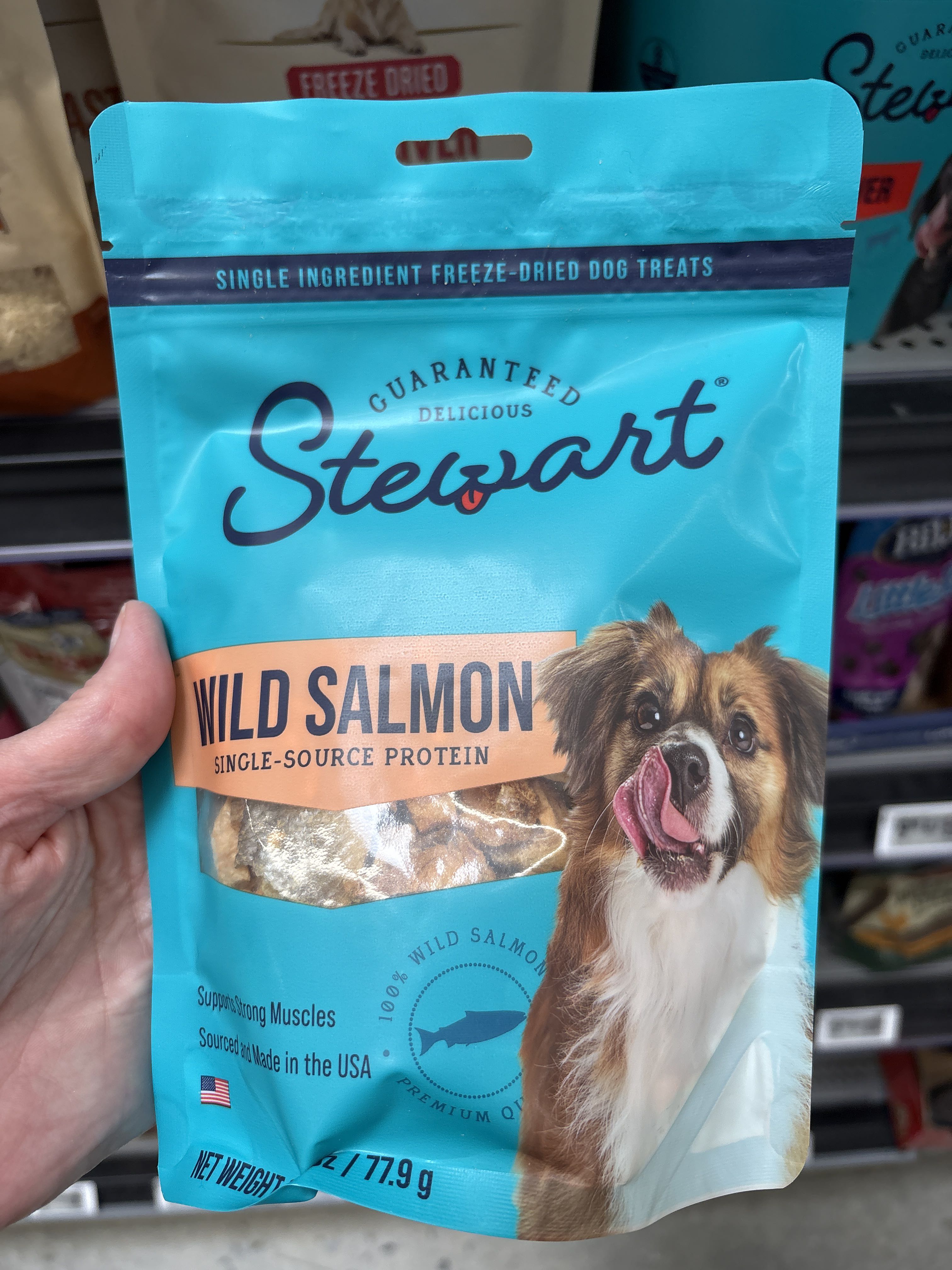 Stewart Wild Salmon Single Ingredient Freeze-Dried Dog Treats, front of the package